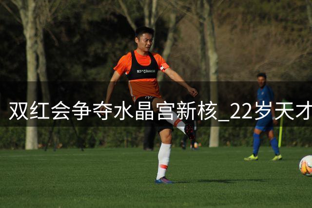 双红会争夺水晶宫新核 22岁天才恐遭挖角