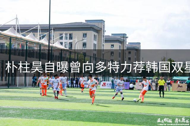 朴柱昊自曝曾向多特力荐韩国双星李刚仁与黄仁范